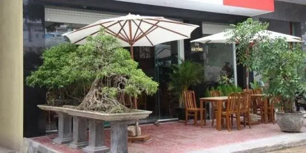 Kim Khanh Hotel, фото 11