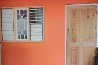 Under the Mango Tree