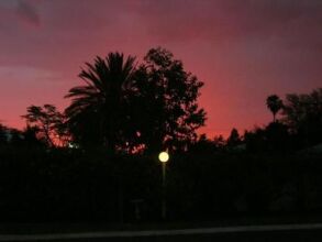 Riverland Motor Inn, фото 42 Riverland Motor Inn, фото 42