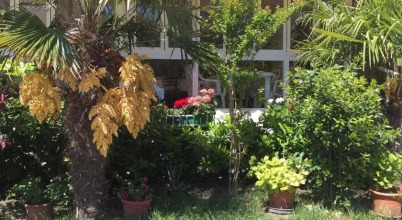 Hotel Halifax, фото 25