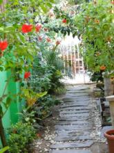 Pousada 100 Passos, фото 38