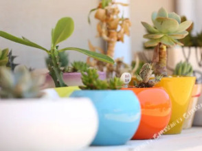 66 Sea-view Hotel (No.2 Branch), фото 8