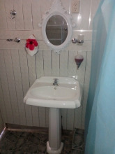 Cabinasyafethosa caletas, фото 6