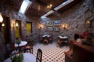 Bromélia Sabiá & Cia, фото 14 Bromélia Sabiá & Cia, фото 14