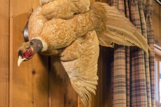 Ayres Lodge Alpine, фото 7 Ayres Lodge Alpine, фото 7