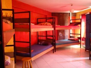 Neverland Hostel, фото 18