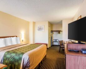 Econo Lodge Portland - I-205, фото 45 Econo Lodge Portland - I-205, фото 45