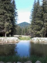 Penzion Ivana, фото 22 Penzion Ivana, фото 22