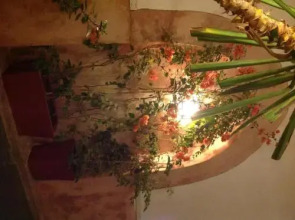 Ryad Dar Ganou, фото 8 Ryad Dar Ganou, фото 8