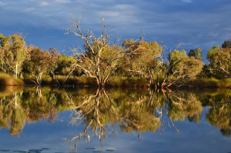 Pelican Rest Tourist Park, фото 19 Pelican Rest Tourist Park, фото 19