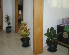 Oasis Square Apartment