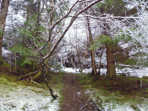 Foyers House Hotel, фото 7 Foyers House Hotel, фото 7