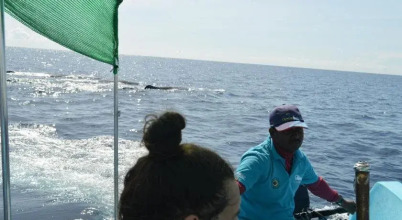 Dutch Bay Beach Cottages, фото 40 Dutch Bay Beach Cottages, фото 40