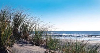 Concord Suites, фото 10