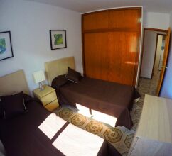 Alayon 203, фото 2