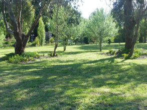 Cobden Crest Cottages, фото 7