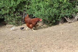 Sleep For Less Motel, фото 23