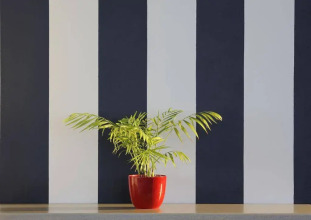 Oyster Box Guesthouse