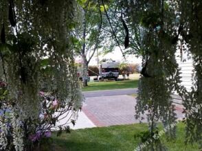 Jenolan Holiday Park - Campsite, фото 28