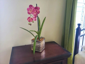 I Heart JA Fairway, фото 2 I Heart JA Fairway, фото 2