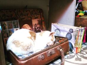 La Terrasse Des Oliviers Guest House, фото 35 La Terrasse Des Oliviers Guest House, фото 35