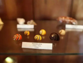 Conchita Flores B&b, фото 29 Conchita Flores B&b, фото 29