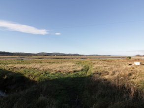 Rowan Cottage, фото 6