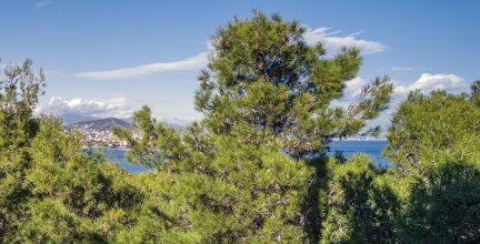 Minimal Blue Villa, фото 10