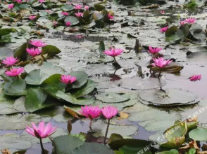Chanxin Chanyue Hostel, фото 22 Chanxin Chanyue Hostel, фото 22