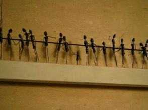 A'jia Hotel, фото 38 A'jia Hotel, фото 38