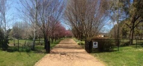 Ophir Gold Bed & Breakfast, фото 38
