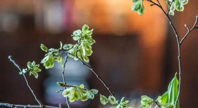 Euroa Butter Factory, фото 29 Euroa Butter Factory, фото 29