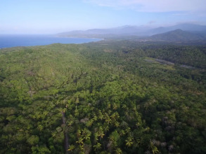 Green Castle Estate, фото 11