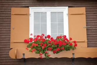 Gästehaus Widderstein, фото 5