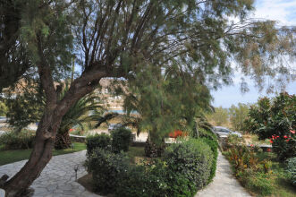 Drosoulites, фото 30