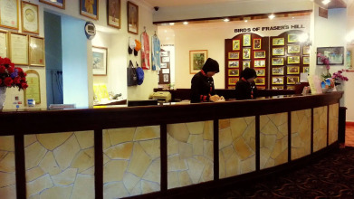 Shahzan Inn, фото 5 Shahzan Inn, фото 5