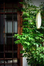 Fushengtang Inn, фото 47 Fushengtang Inn, фото 47