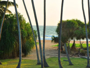 Ocean View, фото 31 Ocean View, фото 31