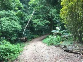 Cabañas Valeska, фото 18