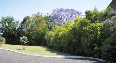 Riverland Motor Inn, фото 49 Riverland Motor Inn, фото 49