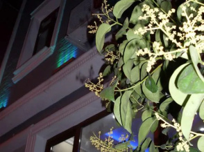 Taksim Antique Suites, фото 19