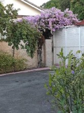 Beverly Cliff Inn, фото 2 Beverly Cliff Inn, фото 2