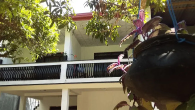 Sanjee'sHome & Lanka Ayurveda, фото 13