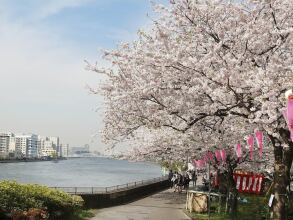 Sakura Sky Hotel, фото 21