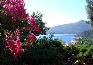 Бутик-Отель True Blue Kalkan, фото 47