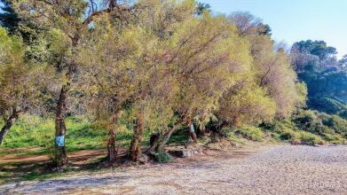 George's Sea View Guest House, фото 12 George's Sea View Guest House, фото 12