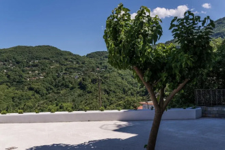 House of Gardenia, фото 15