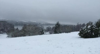 Norwood Guesthouse, фото 29