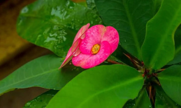 Ocean View, фото 27 Ocean View, фото 27