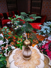 Riad Itry - Hostel, фото 19 Riad Itry - Hostel, фото 19